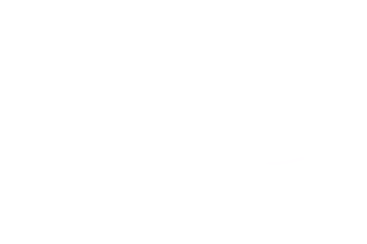 Logo weiß Praxis Herzenswege